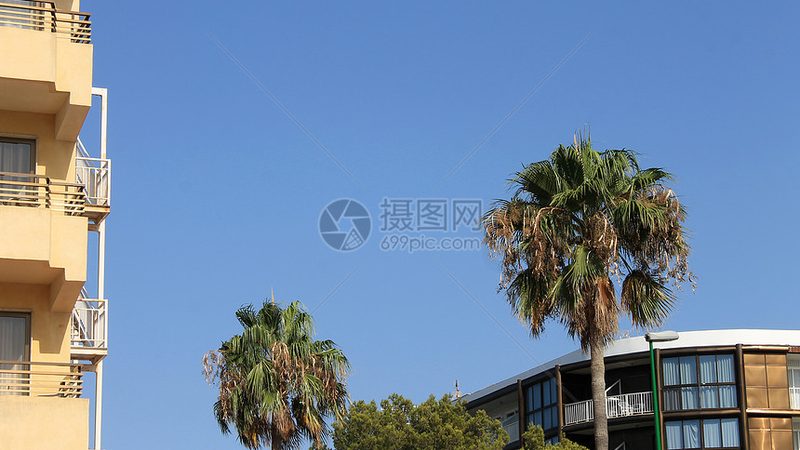 夏令营报名流程怎么做